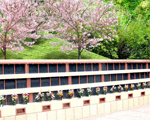 個別型樹木葬「桜寿」