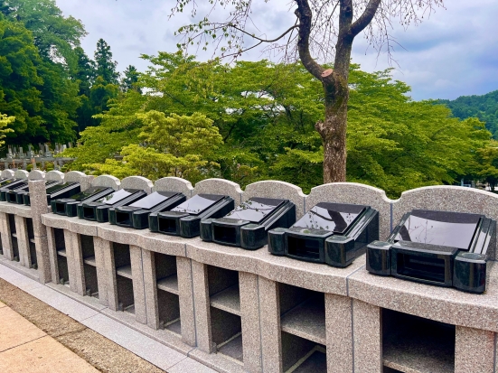 陽向