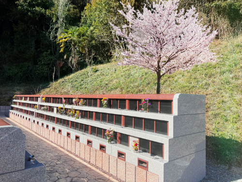 樹木葬・桜寿