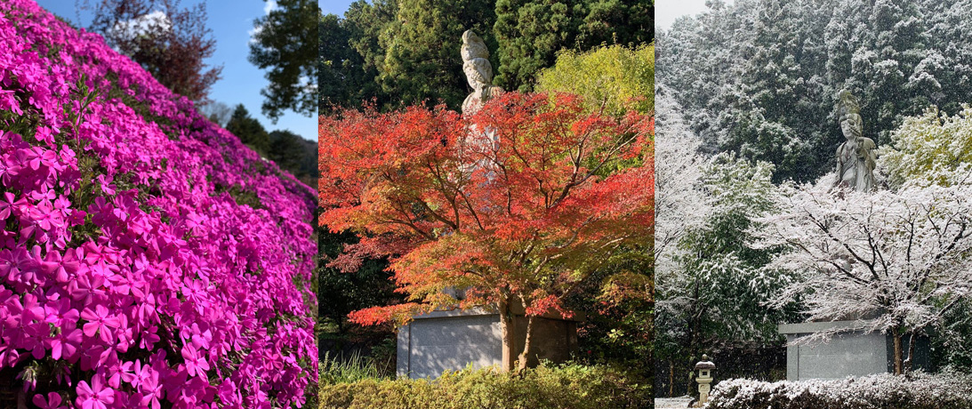 四季の景色