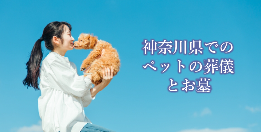 神奈川県内のペット葬儀・火葬・お墓ガイド｜費用・霊園・火葬場情報まとめ
