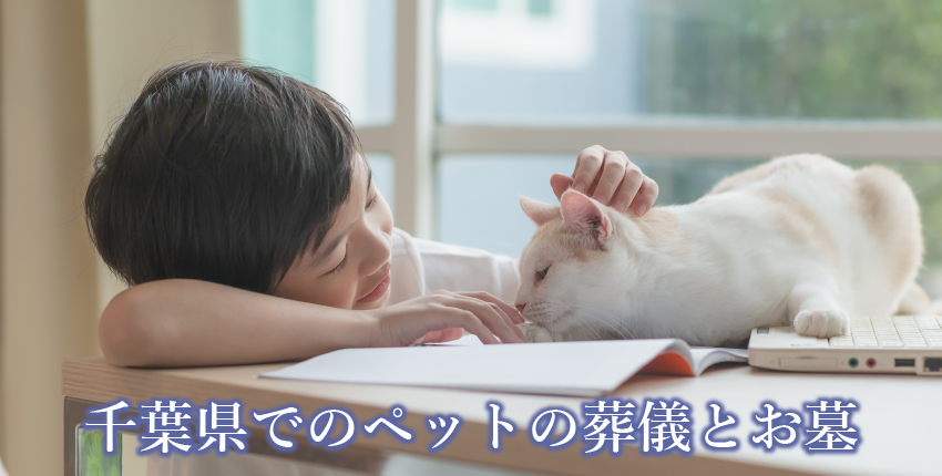 千葉県内のペット葬儀・火葬・お墓ガイド｜費用・霊園・火葬場情報まとめ