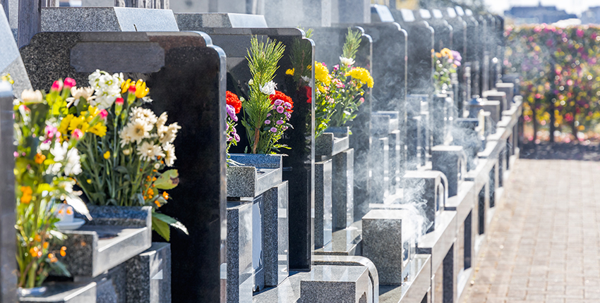 ニチリョクについて